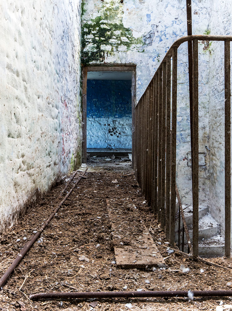 Upper stairway, workhouse