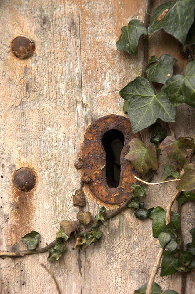 Rusty keyhole surrounded by ivy