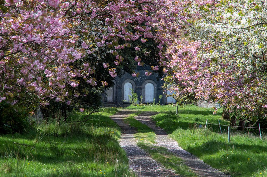 Blossomed View of Estate House - Forsaken Ireland